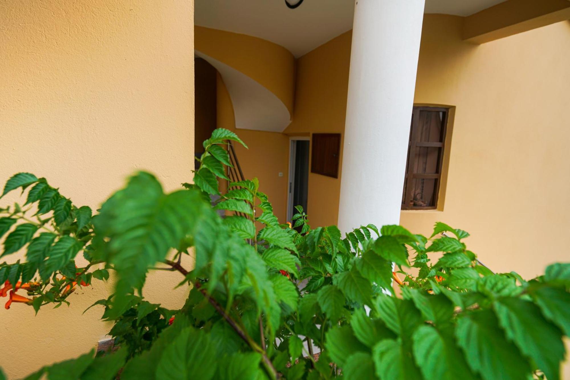 Apartments Osljak Preko Dış mekan fotoğraf