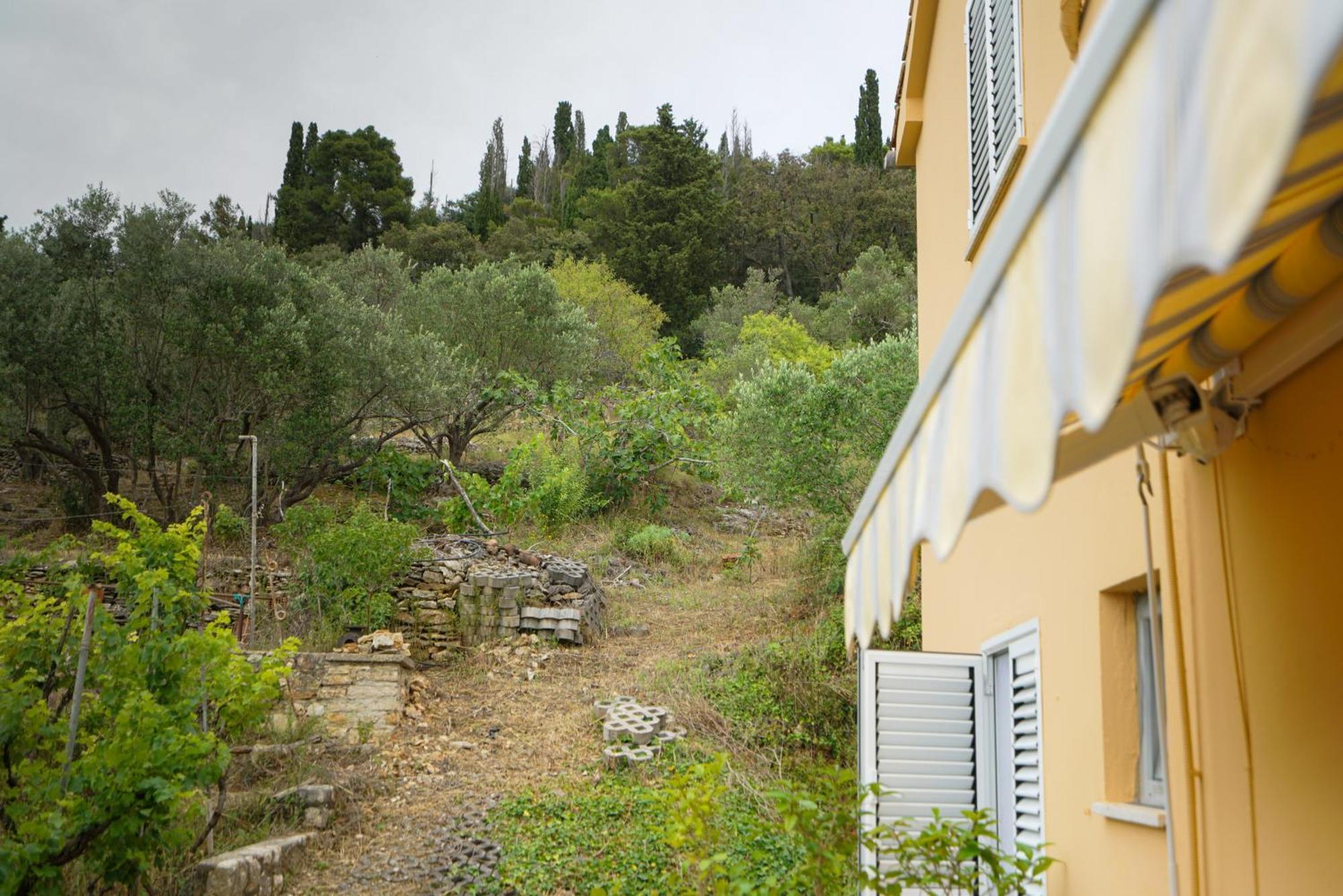Apartments Osljak Preko Dış mekan fotoğraf